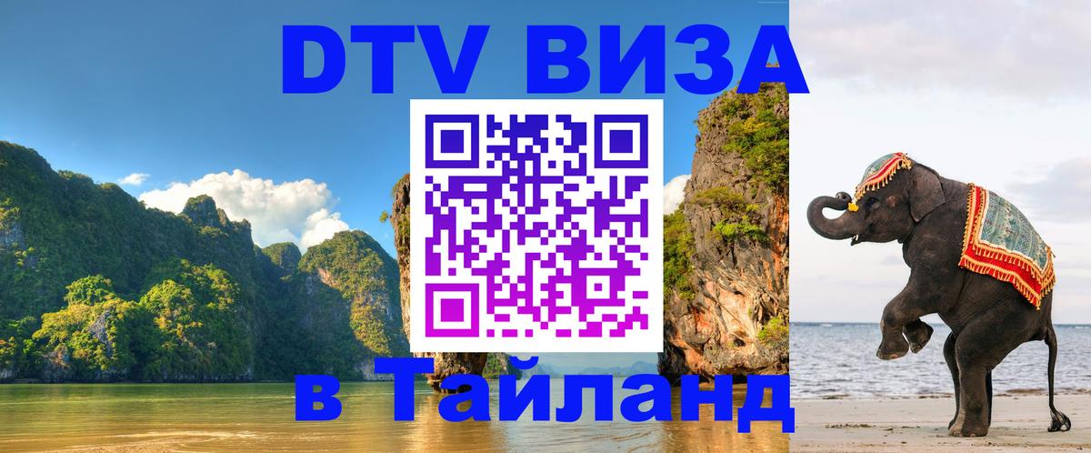 Оформление DTV визы под ключ: стоимость и тарифы, только загранпаспорт - 